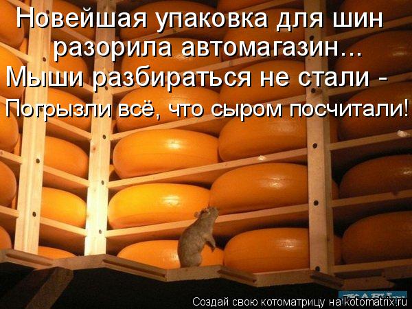 разорила автомагазин... Мыши разбираться не стали - Погрызли всё, что сыром посчитали! Новейшая упак... Котоматрица: разорила автомагазин... Мыши разбираться не стали - Погрызли всё, что сыром посчитали! Новейшая упаковка для шин