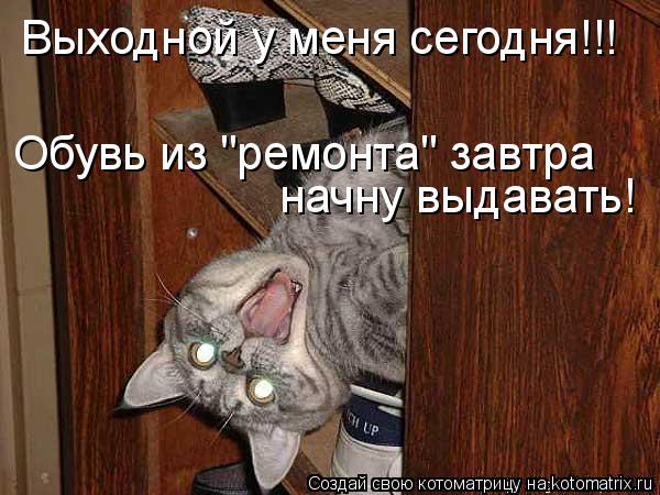 Выходной у меня сегодня!!! Обувь из "ремонта" завтра начну выдавать!... Котоматрица: Выходной у меня сегодня!!! Обувь из "ремонта" завтра начну выдавать!