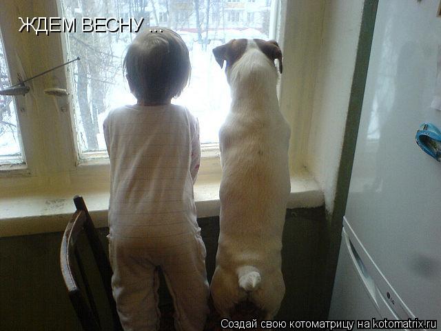 ЖДЕМ ВЕСНУ ...... Котоматрица: ЖДЕМ ВЕСНУ ...