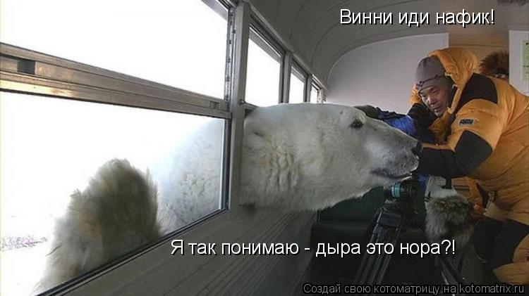 Я так понимаю - дыра это нора?! Винни иди нафик!... Котоматрица: Я так понимаю - дыра это нора?! Винни иди нафик!