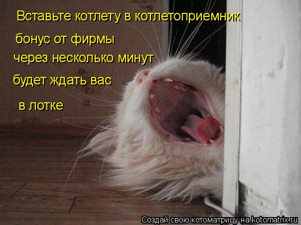 Вставьте котлету в котлетоприемник бонус от фирмы через несколько минут будет ждать вас в лотке... Котоматрица: Вставьте котлету в котлетоприемник бонус от фирмы через несколько минут будет ждать вас в лотке
