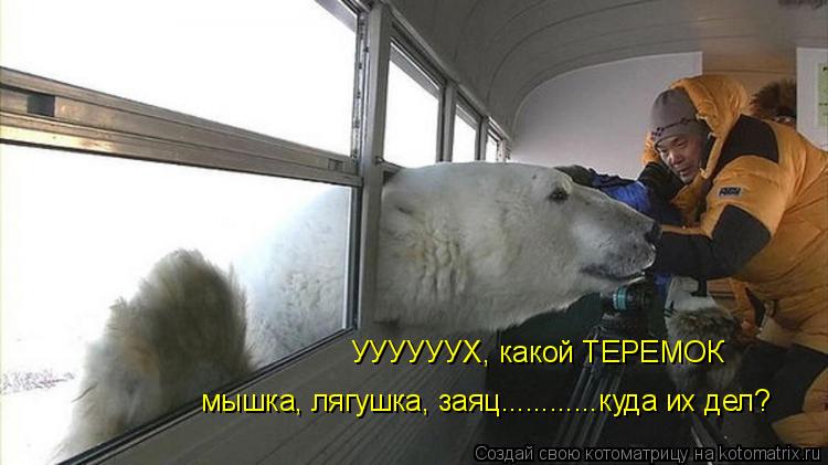 УУУУУУХ, какой ТЕРЕМОК мышка, лягушка, заяц............куда их дел?... Котоматрица: УУУУУУХ, какой ТЕРЕМОК мышка, лягушка, заяц............куда их дел?