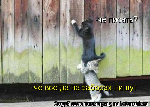 -чё писать? -чё всегда на заборах пишут... Котоматрица: -чё писать? -чё всегда на заборах пишут