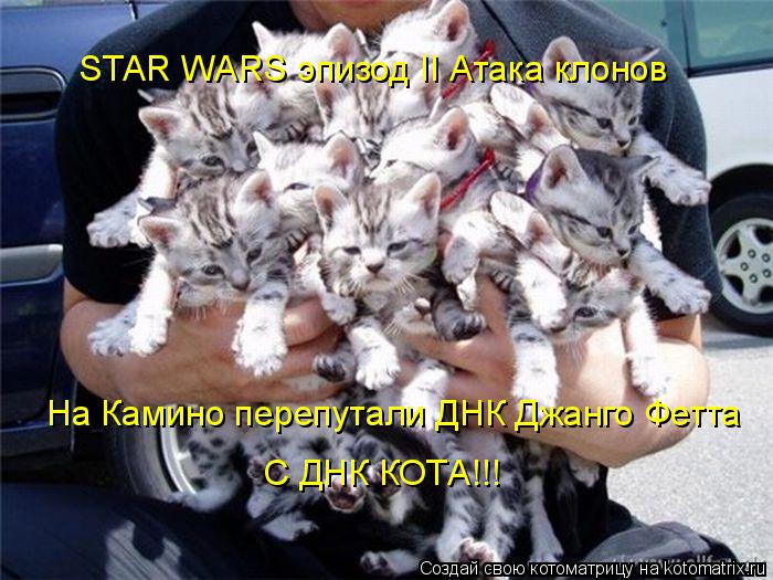 STAR WARS эпизод II Атака клонов На Камино перепутали ДНК Джанго Фетта С ДНК КОТА!!!... Котоматрица: STAR WARS эпизод II Атака клонов На Камино перепутали ДНК Джанго Фетта С ДНК КОТА!!!