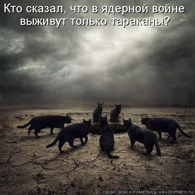Кто сказал, что в ядерной войне выживут только тараканы?... Котоматрица: Кто сказал, что в ядерной войне выживут только тараканы?