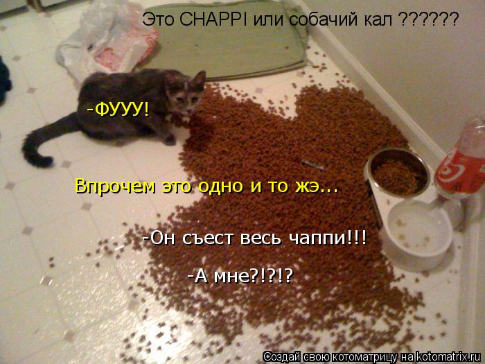 Это CHAPPI или собачий кал ?????? Впрочем это одно и то жэ... -Он съест весь чаппи!!! -А мне?!?!? -ФУ... Котоматрица: Это CHAPPI или собачий кал ?????? Впрочем это одно и то жэ... -Он съест весь чаппи!!! -А мне?!?!? -ФУУУ!
