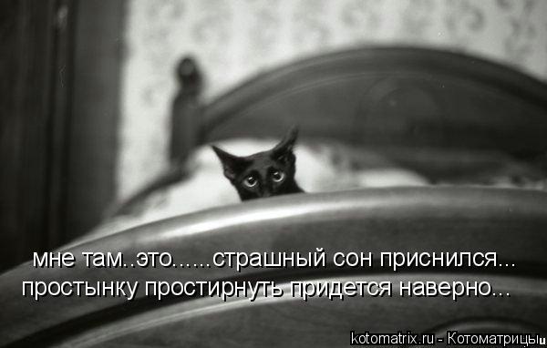 мне там..это......страшный сон приснился... простынку простирнуть придется наверно...... Котоматрица: мне там..это......страшный сон приснился... простынку простирнуть придется наверно...