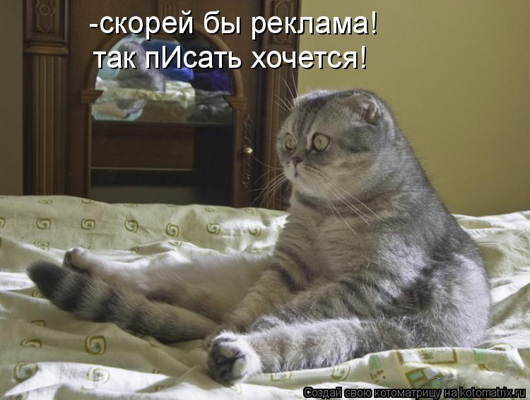 -скорей бы реклама! так пИсать хочется!... Котоматрица: -скорей бы реклама! так пИсать хочется!
