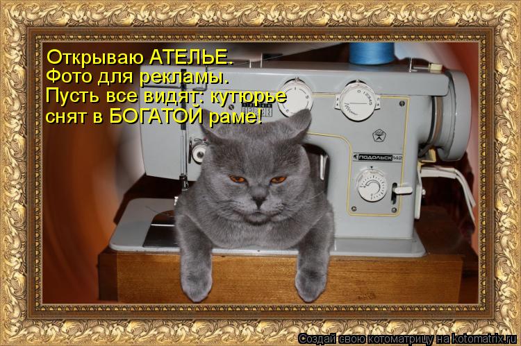Открываю АТЕЛЬЕ. Фото для рекламы. Пусть все видят: кутюрье снят в БОГАТОЙ раме!... Котоматрица: Открываю АТЕЛЬЕ. Фото для рекламы. Пусть все видят: кутюрье снят в БОГАТОЙ раме!