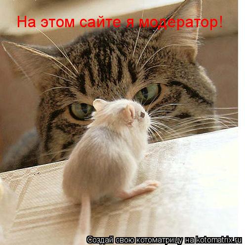На этом сайте я модератор!... Котоматрица: На этом сайте я модератор!