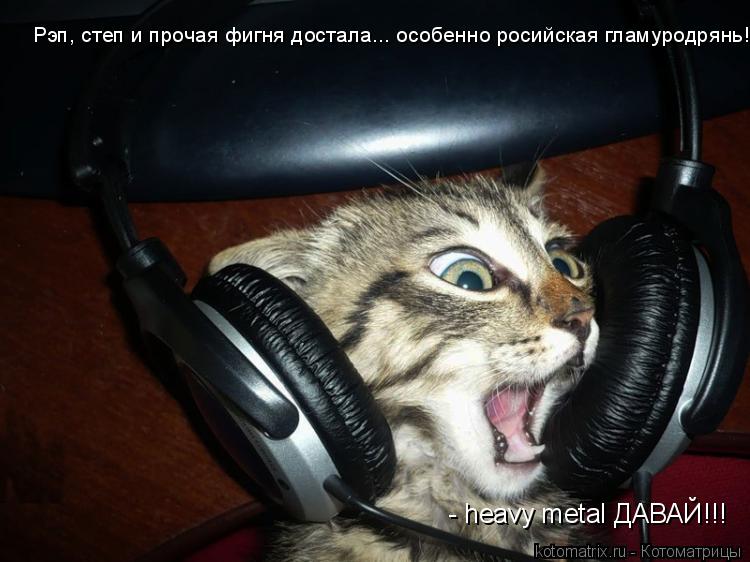 - heavy metal ДАВАЙ!!! Рэп, степ и прочая фигня достала... особенно росийская гламуродрянь!... Котоматрица: - heavy metal ДАВАЙ!!! Рэп, степ и прочая фигня достала... особенно росийская гламуродрянь!