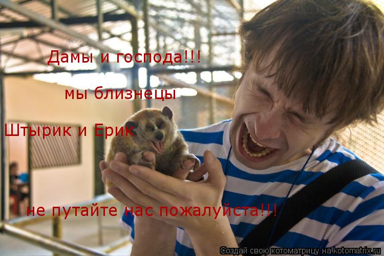 Дамы и господа!!! мы близнецы не путайте нас пожалуйста!!! Штырик и Ерик не путайте нас пожалуйста!!... Котоматрица: Дамы и господа!!! мы близнецы не путайте нас пожалуйста!!! Штырик и Ерик не путайте нас пожалуйста!!!