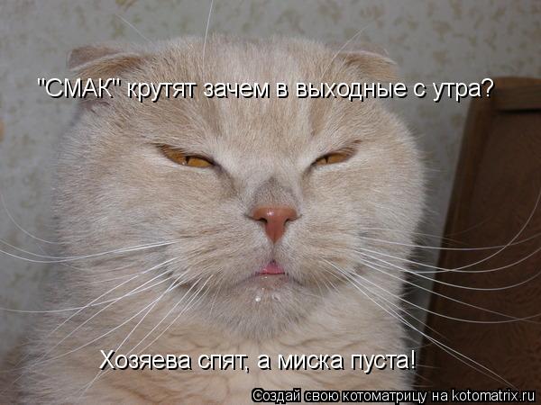 "СМАК" крутят зачем в выходные с утра? Хозяева спят, а миска пуста!... Котоматрица: "СМАК" крутят зачем в выходные с утра? Хозяева спят, а миска пуста!