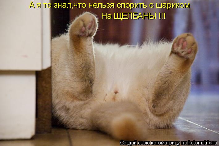 А я то знал,что нельзя спорить с шариком На ЩЕЛБАНЫ !!!... Котоматрица: А я то знал,что нельзя спорить с шариком На ЩЕЛБАНЫ !!!