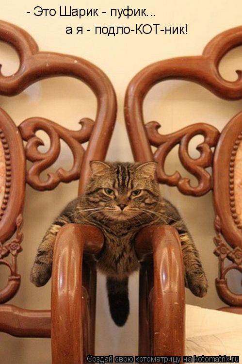 Котоматрица: - Это Шарик - пуфик... а я - подло-КОТ-ник!