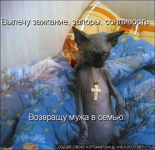 Возвращу мужа в семью. Вылечу заикание, запоры, сонливость.... Котоматрица: Возвращу мужа в семью. Вылечу заикание, запоры, сонливость.