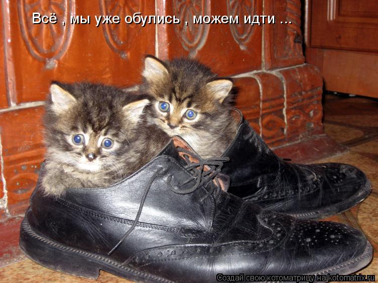 Всё , мы уже обулись , можем идти ...... Котоматрица: Всё , мы уже обулись , можем идти ...