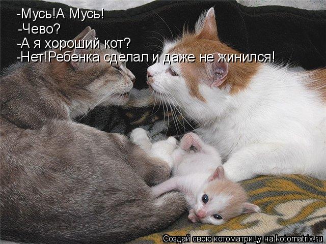 -Мусь!А Мусь! -Чево? -А я хороший кот? -Нет!Ребенка сделал и даже не жинился!... Котоматрица: -Мусь!А Мусь! -Чево? -А я хороший кот? -Нет!Ребенка сделал и даже не жинился!