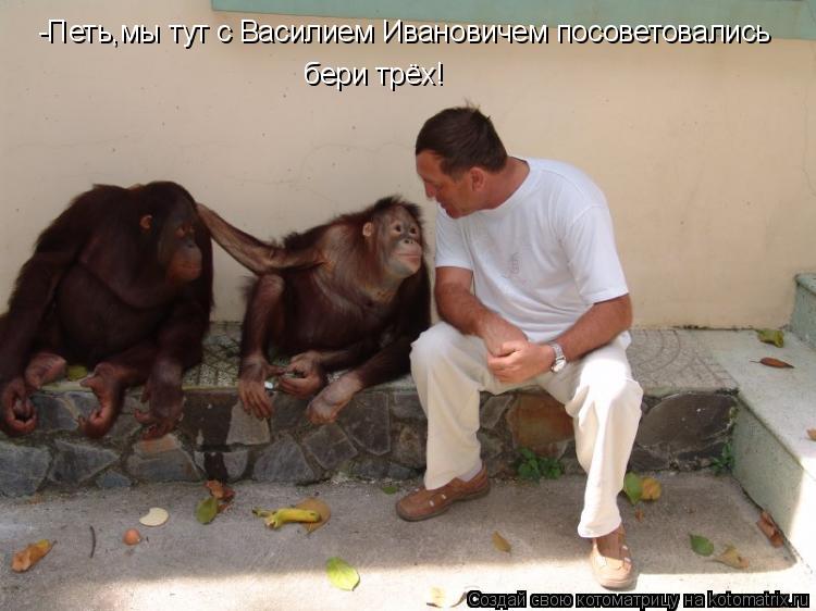 -Петь,мы тут с Василием Ивановичем посоветовались бери трёх!... Котоматрица: -Петь,мы тут с Василием Ивановичем посоветовались бери трёх!