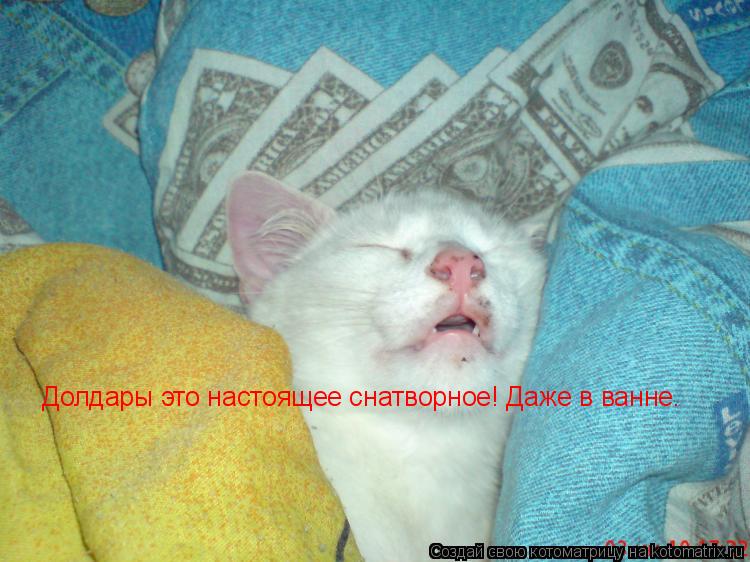 Долдары это настоящее снатворное! Даже в ванне.... Котоматрица: Долдары это настоящее снатворное! Даже в ванне.