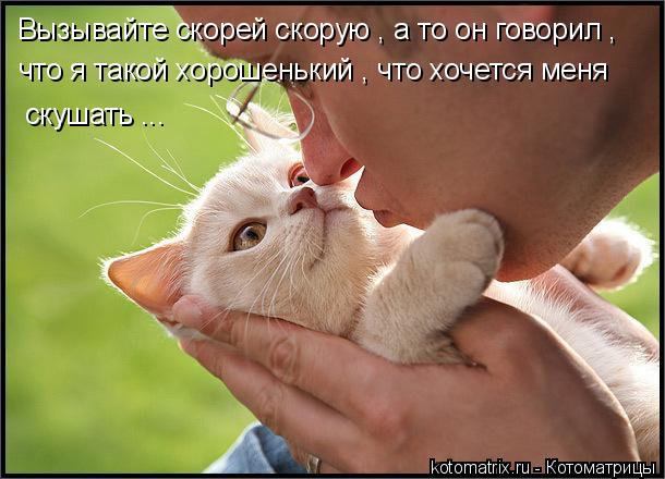 Вызывайте скорей скорую , а то он говорил , что я такой хорошенький , что хочется меня скушать ...... Котоматрица: Вызывайте скорей скорую , а то он говорил , что я такой хорошенький , что хочется меня скушать ...