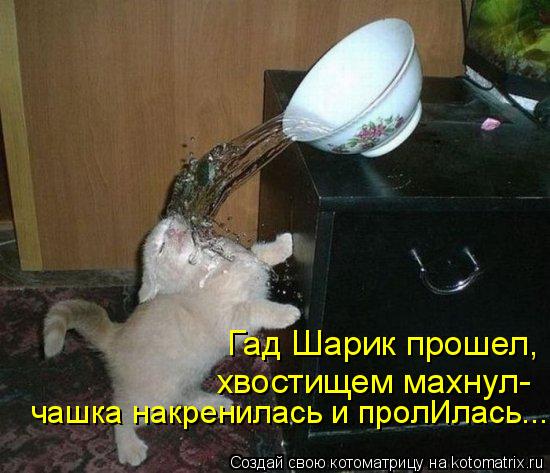 чашка накренилась и пролИлась... Гад Шарик прошел, хвостищем махнул-... Котоматрица: чашка накренилась и пролИлась... Гад Шарик прошел, хвостищем махнул-