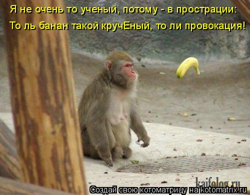 Я не очень то ученый, потому - в прострации: То ль банан такой кручЕный, то ли провокация!... Котоматрица: Я не очень то ученый, потому - в прострации: То ль банан такой кручЕный, то ли провокация!