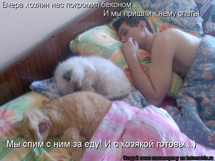 Вчера хозяин нас покромил беконом... И мы пришли к нему спать! Мы спим с ним за еду! И с хозякой гото... Котоматрица: Вчера хозяин нас покромил беконом... И мы пришли к нему спать! Мы спим с ним за еду! И с хозякой готовы...)