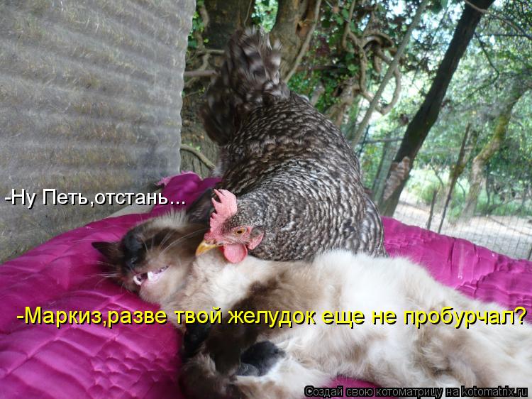 -Ну Петь,отстань... -Маркиз,разве твой желудок еще не пробурчал?... Котоматрица: -Ну Петь,отстань... -Маркиз,разве твой желудок еще не пробурчал?