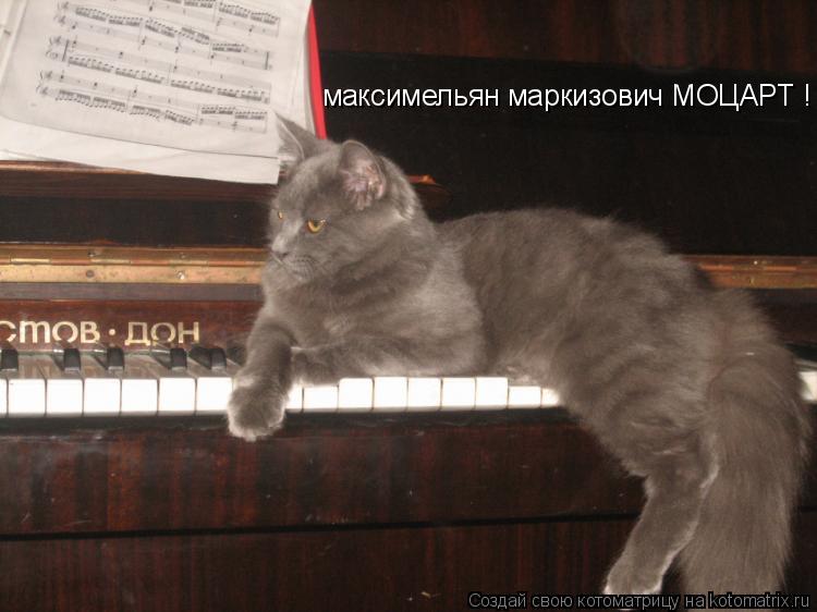 максимельян маркизович МОЦАРТ !... Котоматрица: максимельян маркизович МОЦАРТ !