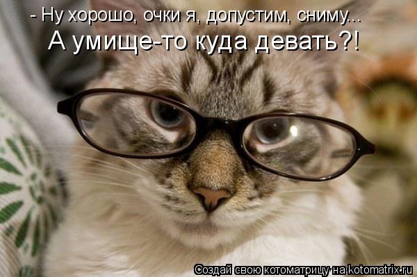 Котоматрица: - Ну хорошо, очки я, допустим, сниму... А умище-то куда девать?!