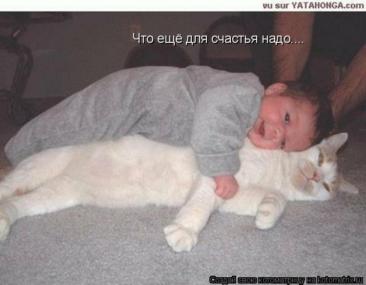 Что ещё для счастья надо....... Котоматрица: Что ещё для счастья надо....
