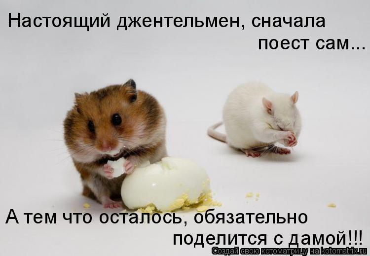 Настоящий джентельмен, сначала А тем что осталось, обязательно поделится с дамой!!! поест сам...... Котоматрица: Настоящий джентельмен, сначала А тем что осталось, обязательно поделится с дамой!!! поест сам...