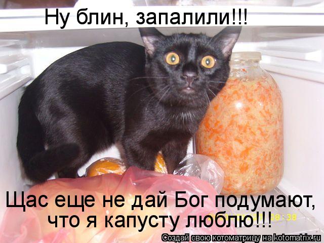 Ну блин, запалили!!! Щас еще не дай Бог подумают, что я капусту люблю!!!... Котоматрица: Ну блин, запалили!!! Щас еще не дай Бог подумают, что я капусту люблю!!!