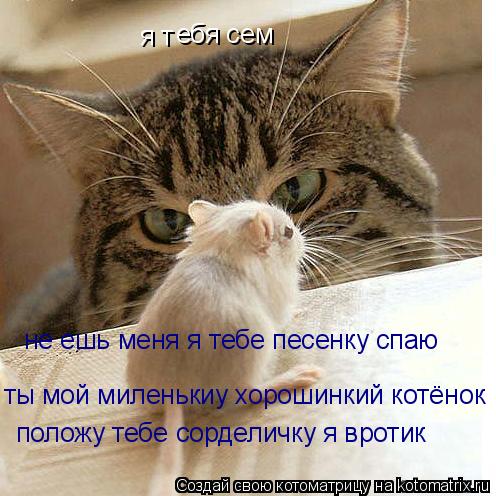я т ебя сем не ешь меня я тебе песенку спаю ты мой миленькиу хорошинкий котёнок положу тебе сорделич... Котоматрица: я т ебя сем не ешь меня я тебе песенку спаю ты мой миленькиу хорошинкий котёнок положу тебе сорделичку я вротик