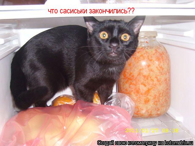 что сасиськи закончились??... Котоматрица: что сасиськи закончились??