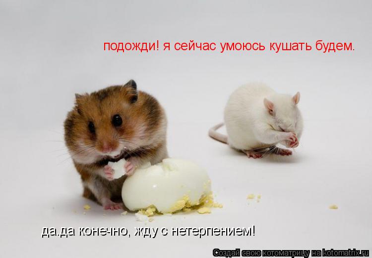 подожди! я сейчас умоюсь кушать будем. да.да конечно, жду с нетерпением!... Котоматрица: подожди! я сейчас умоюсь кушать будем. да.да конечно, жду с нетерпением!