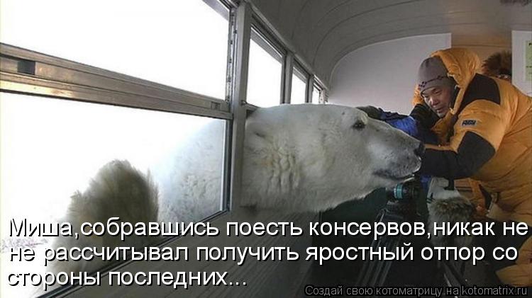 Миша,собравшись поесть консервов,никак не не рассчитывал получить яростный отпор со стороны последних... Котоматрица: Миша,собравшись поесть консервов,никак не не рассчитывал получить яростный отпор со стороны последних...