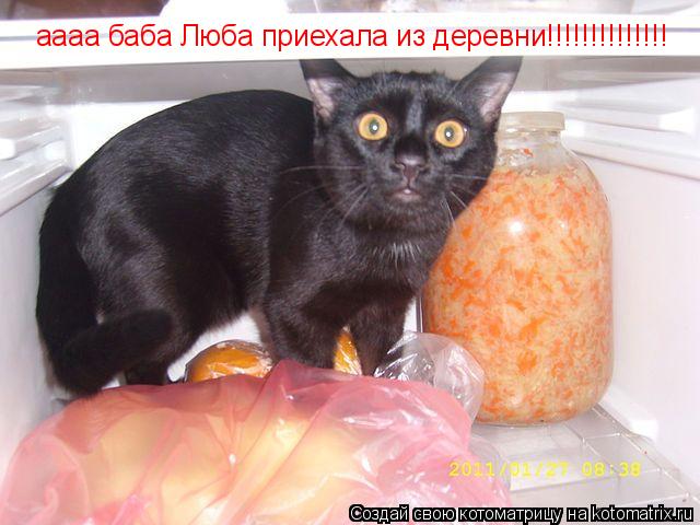 аааа баба Люба приехала из деревни!!!!!!!!!!!!!!... Котоматрица: аааа баба Люба приехала из деревни!!!!!!!!!!!!!!