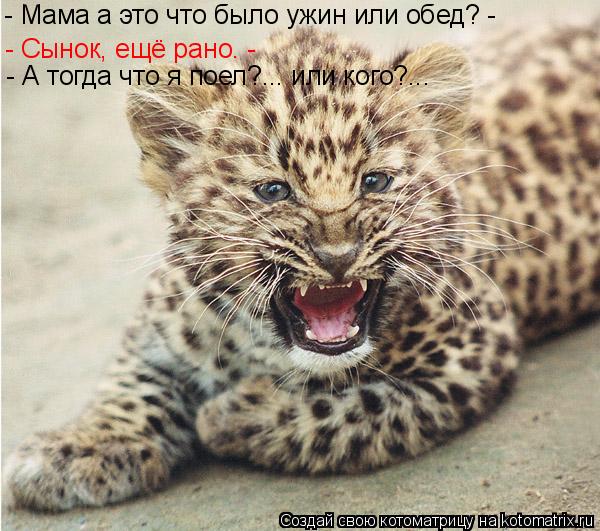 - Мама а это что было ужин или обед? - - Сынок, ещё рано. - - А тогда что я поел?... или кого?...... Котоматрица: - Мама а это что было ужин или обед? - - Сынок, ещё рано. - - А тогда что я поел?... или кого?...