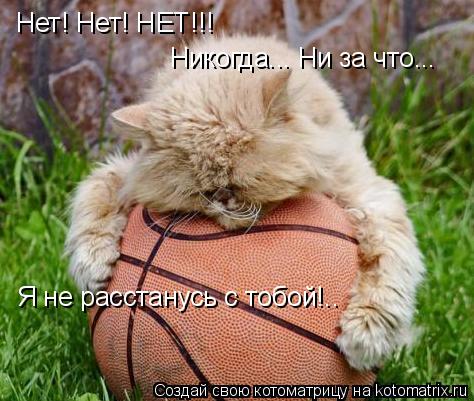 Нет! Нет! НЕТ!!! Никогда... Ни за что... Я не расстанусь с тобой!..... Котоматрица: Нет! Нет! НЕТ!!! Никогда... Ни за что... Я не расстанусь с тобой!..