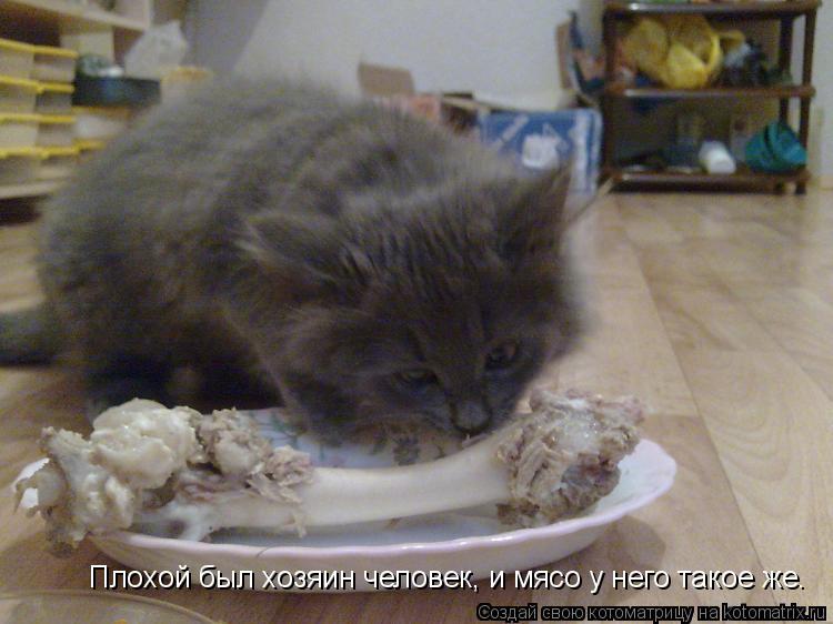 Плохой был хозяин человек, и мясо у него такое же.... Котоматрица: Плохой был хозяин человек, и мясо у него такое же.