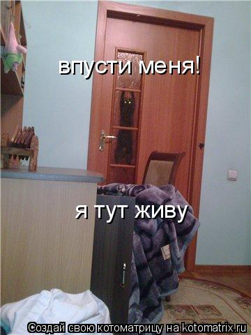впусти меня! я тут живу... Котоматрица: впусти меня! я тут живу
