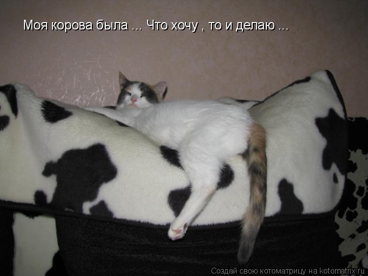 Котоматрица: Моя корова была ... Что хочу , то и делаю ...