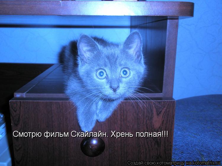 Смотрю фильм Скайлайн. Хрень полная!!!... Котоматрица: Смотрю фильм Скайлайн. Хрень полная!!!