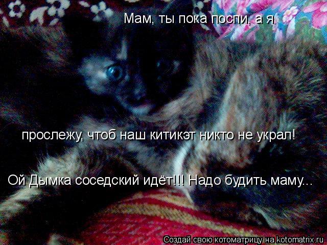 Мам, ты пока поспи, а я прослежу, чтоб наш китикэт никто не украл! Ой Дымка соседский идёт!!! Надо б... Котоматрица: Мам, ты пока поспи, а я прослежу, чтоб наш китикэт никто не украл! Ой Дымка соседский идёт!!! Надо будить маму...