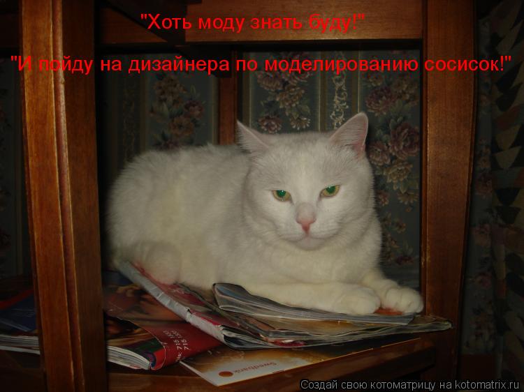 "Хоть моду знать буду!" "И пойду на дизайнера по моделированию сосисок!"... Котоматрица: "Хоть моду знать буду!" "И пойду на дизайнера по моделированию сосисок!"