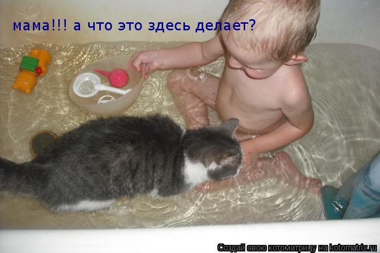 мама!!! а что это здесь делает?... Котоматрица: мама!!! а что это здесь делает?
