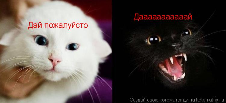 Дай пожалуйсто Дааааааааааай... Котоматрица: Дай пожалуйсто Дааааааааааай