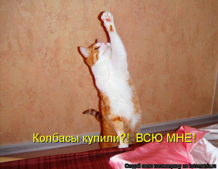 Колбасы купили?! ВСЮ МНЕ!... Котоматрица: Колбасы купили?! ВСЮ МНЕ!